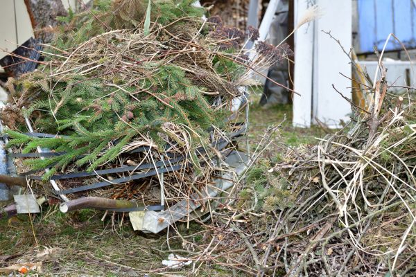 Yard Waste Removal Service